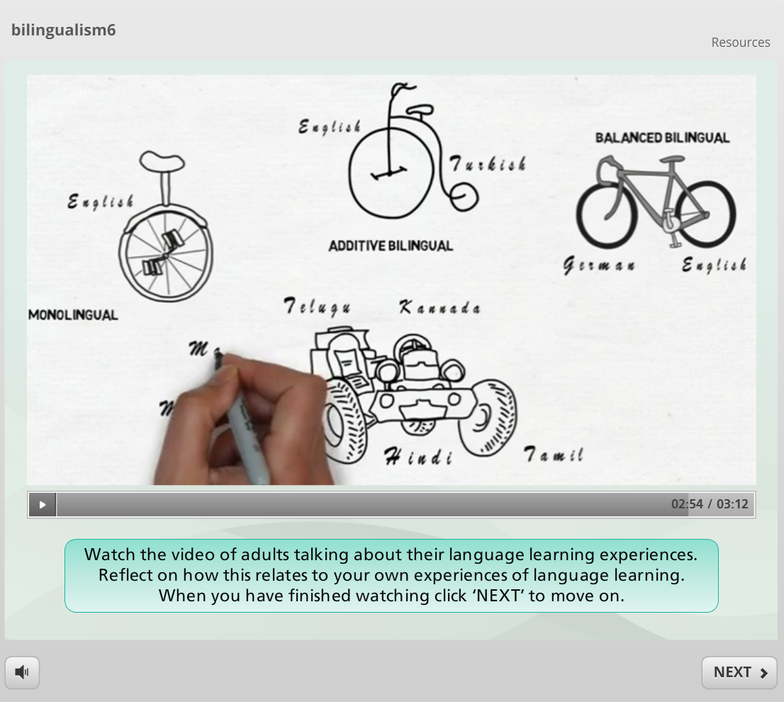 Translanguaging